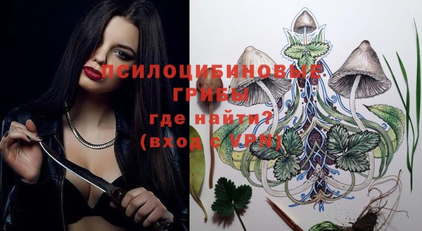 a pvp Аркадак