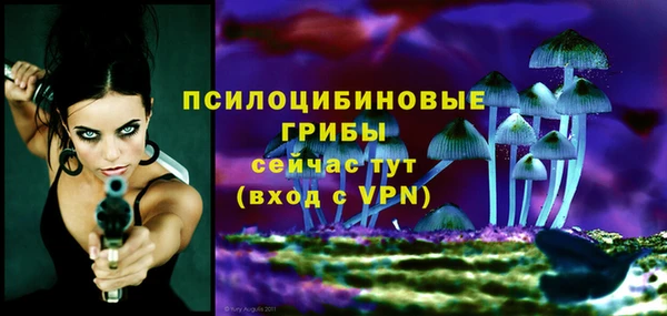 первитин Арсеньев
